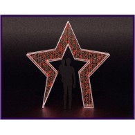 Световая арка  «Та самая звезда» 